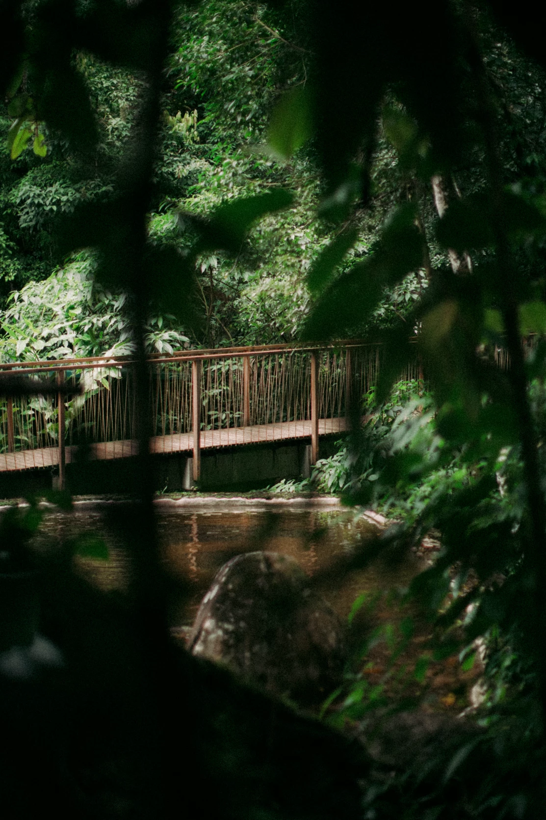 publicidade litoral norte sp