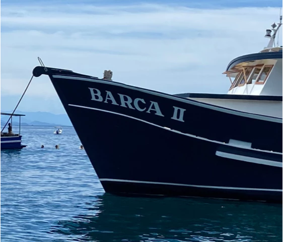 lista de compras mira