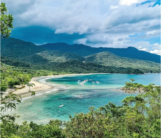 lista de compras mira