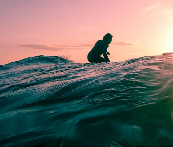 lista de compras mira